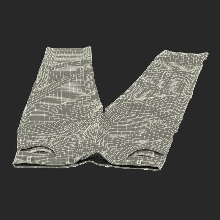 Jeans 4 3D model