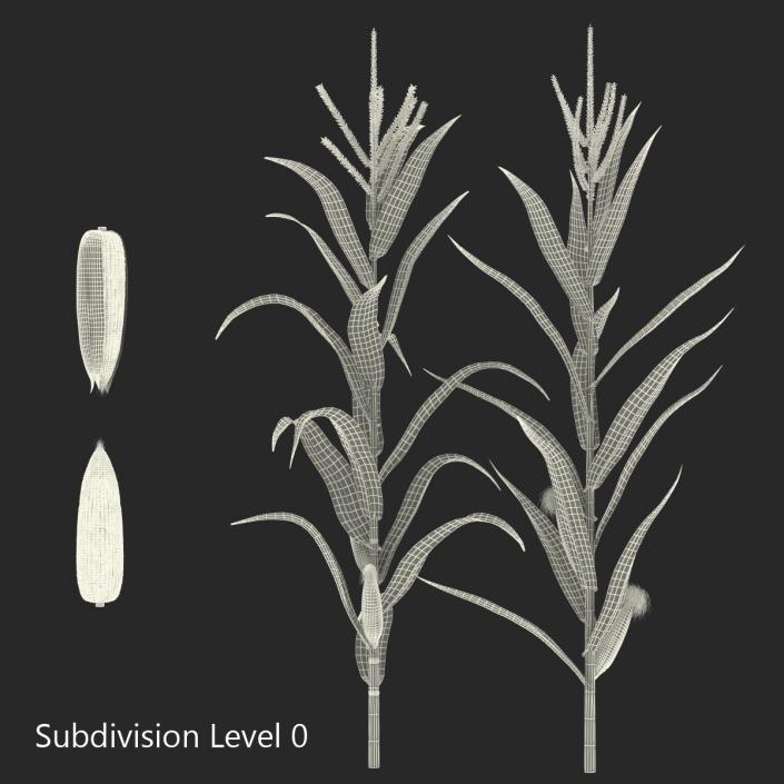 3D model Corn Collection