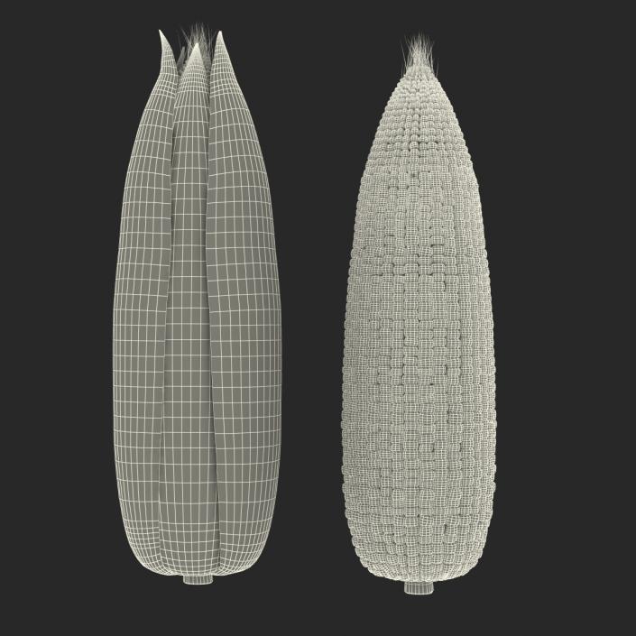 3D model Corn Collection