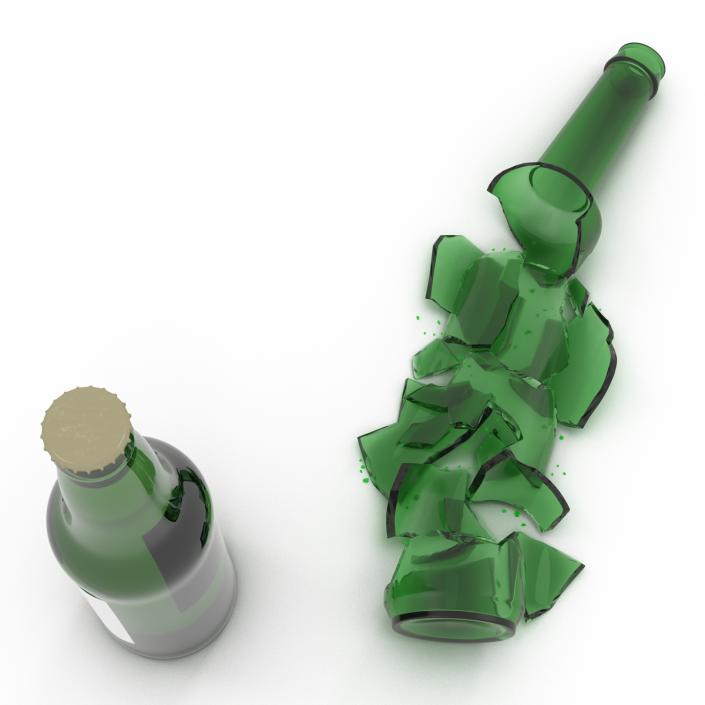 Beer Bottle Broken and New Collection 3D