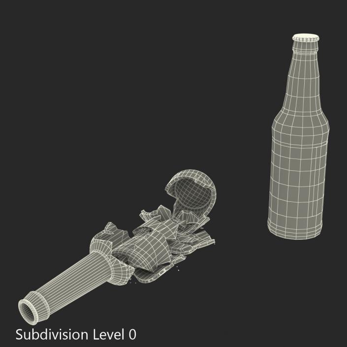 Beer Bottle Broken and New Collection 3D