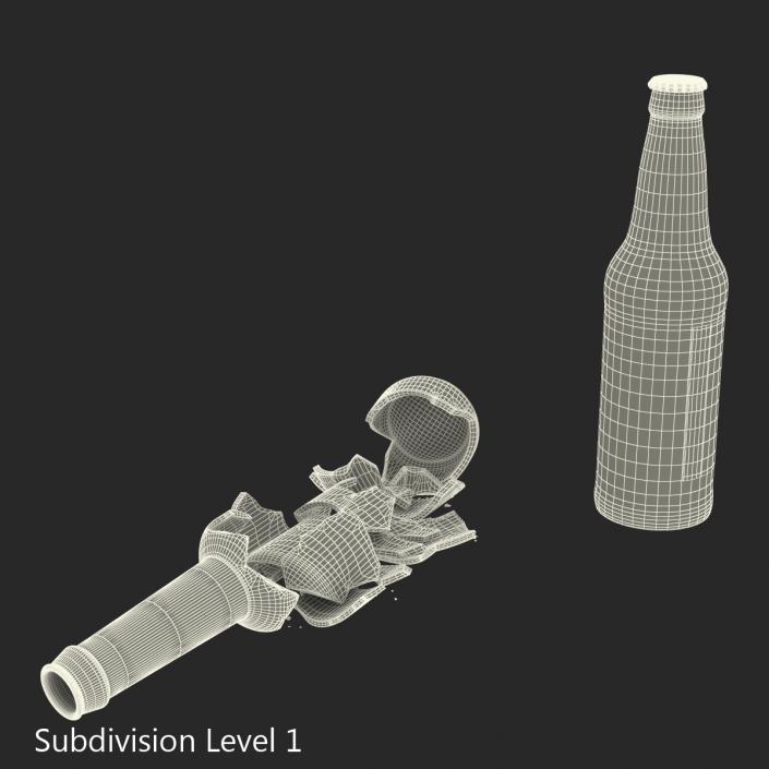 Beer Bottle Broken and New Collection 3D