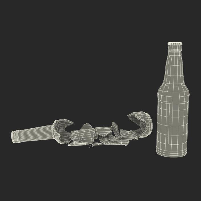 Beer Bottle Broken and New Collection 3D