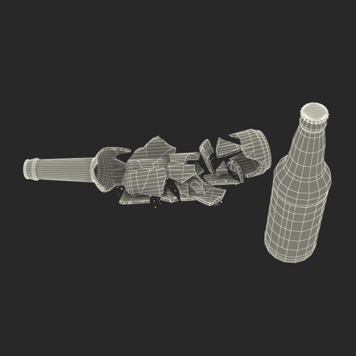 Beer Bottle Broken and New Collection 3D