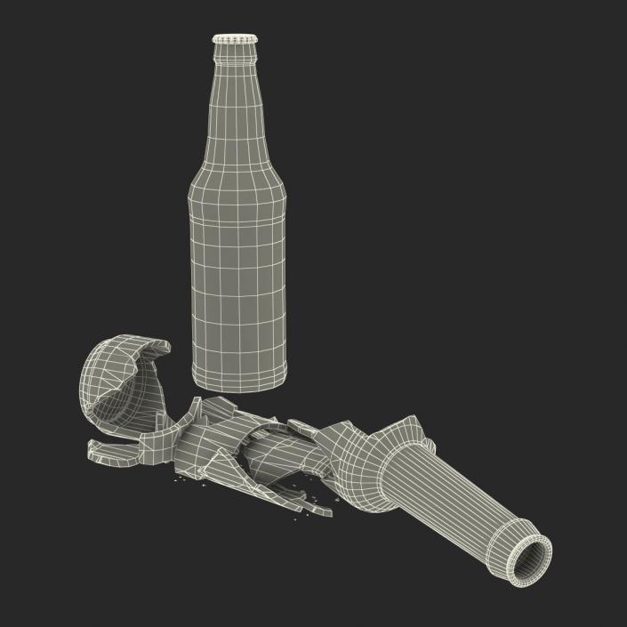 Beer Bottle Broken and New Collection 3D