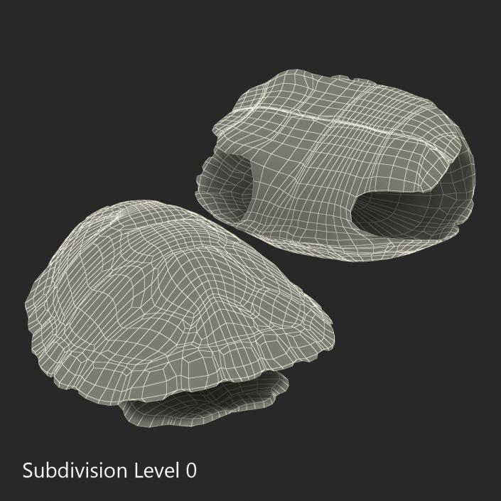 Turtle Shells Collection 3D model