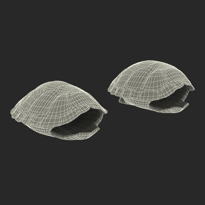 Turtle Shells Collection 3D model