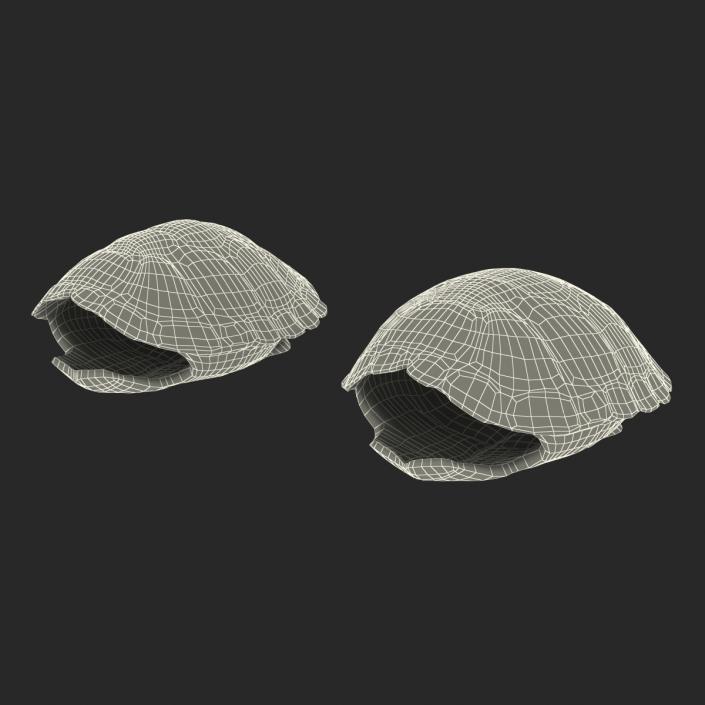 Turtle Shells Collection 3D model