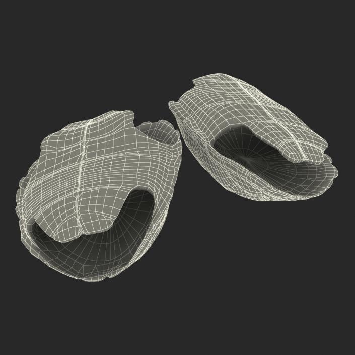 Turtle Shells Collection 3D model