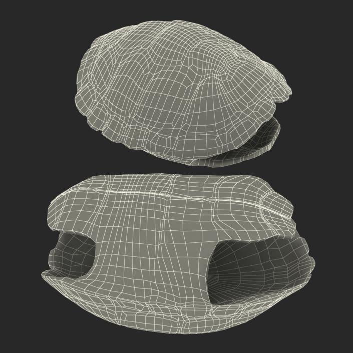 Turtle Shells Collection 3D model