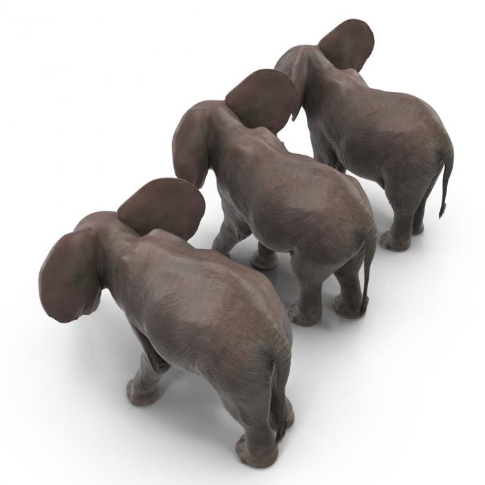 3D model Baby Elephants Collection