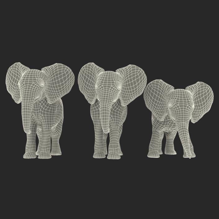 3D model Baby Elephants Collection