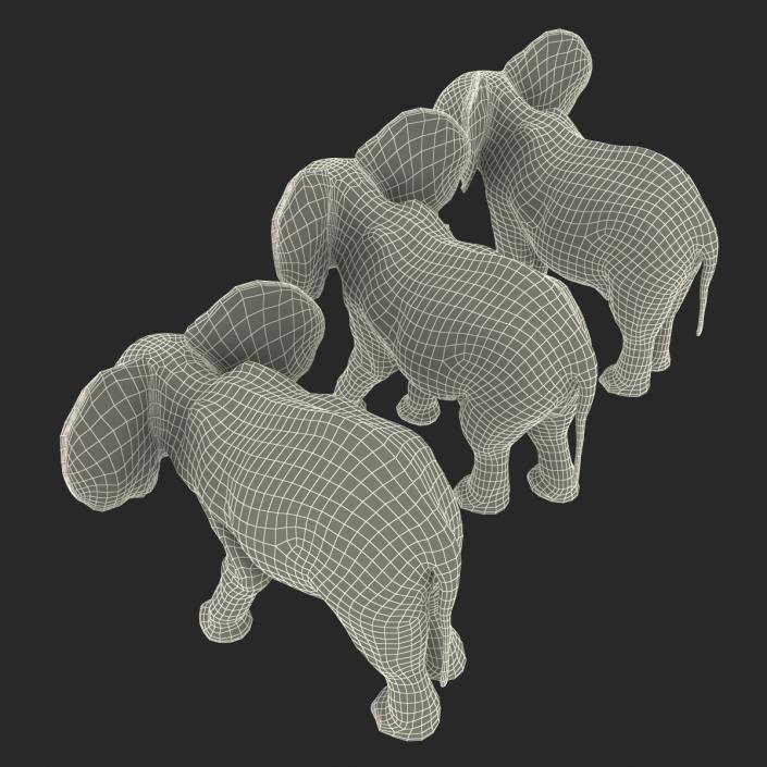 3D model Baby Elephants Collection