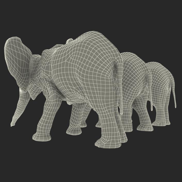 3D model Baby Elephants Collection