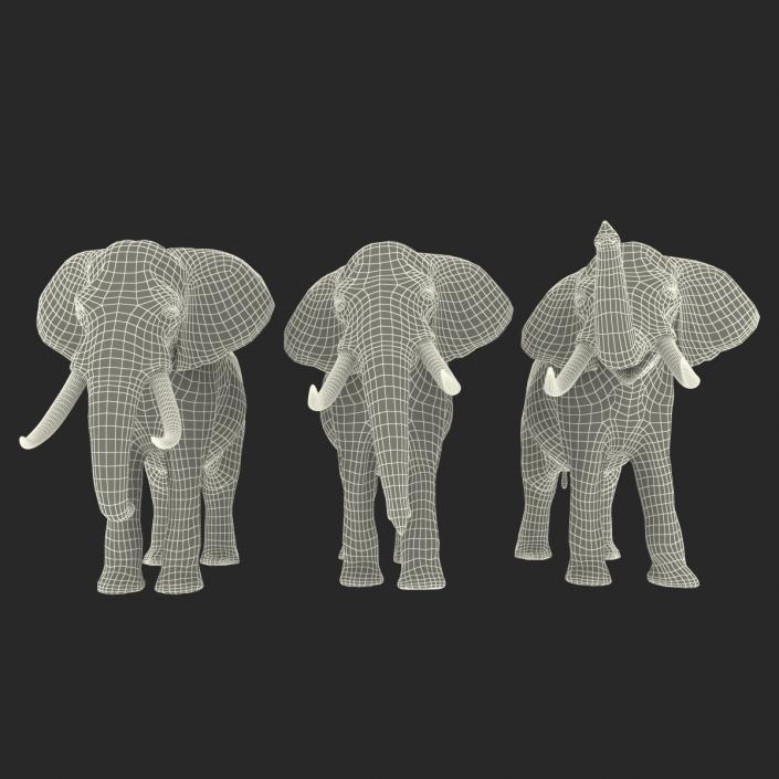 3D model Elephants Collection