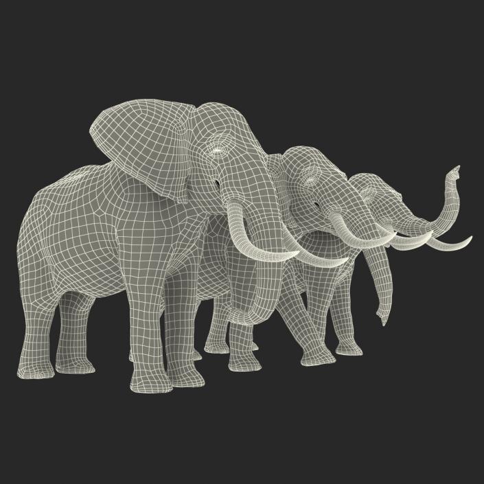 3D model Elephants Collection