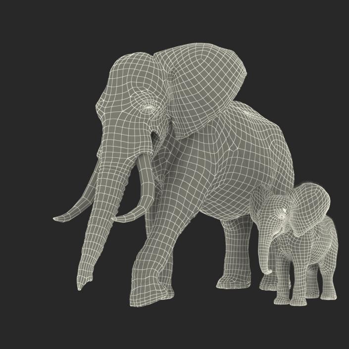 Elephants Rigged Collection 3D