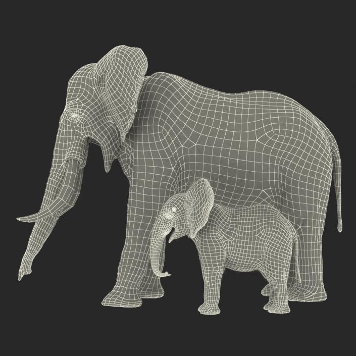 Elephants Rigged Collection 3D