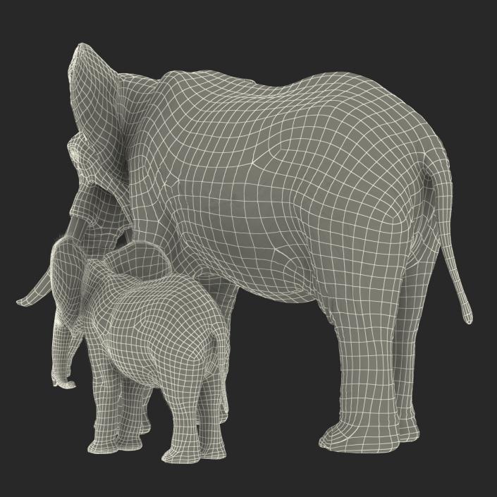 Elephants Rigged Collection 3D