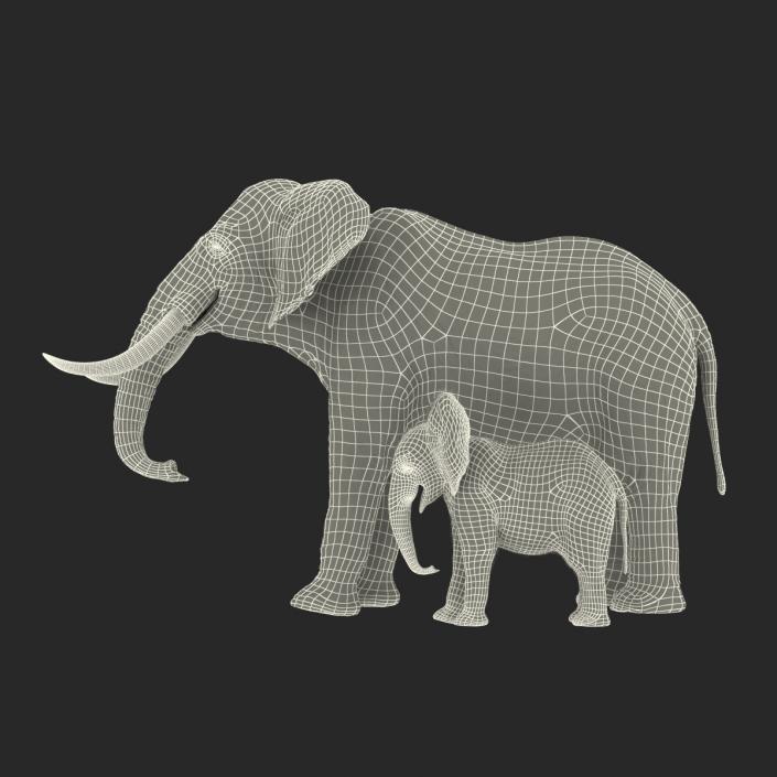 Elephants Collection 2 3D