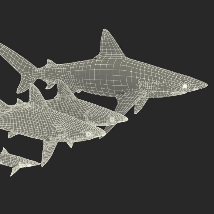 Sharks Collection 7 3D model