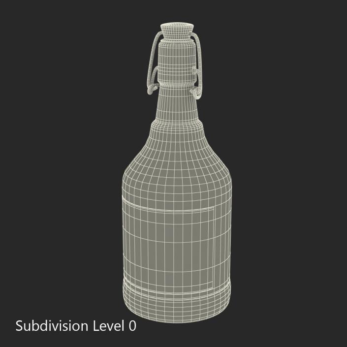 3D Cold Brew Bottle 2 model