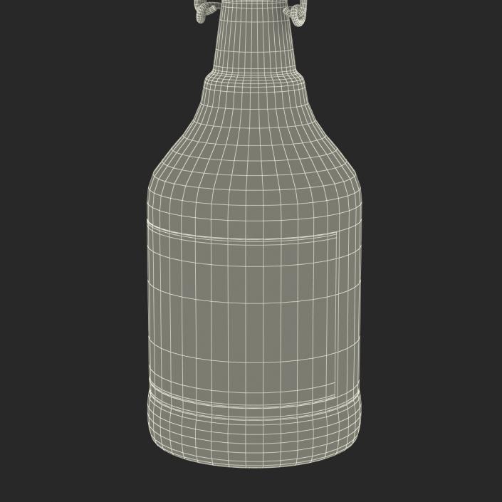 3D Cold Brew Bottle 2 model