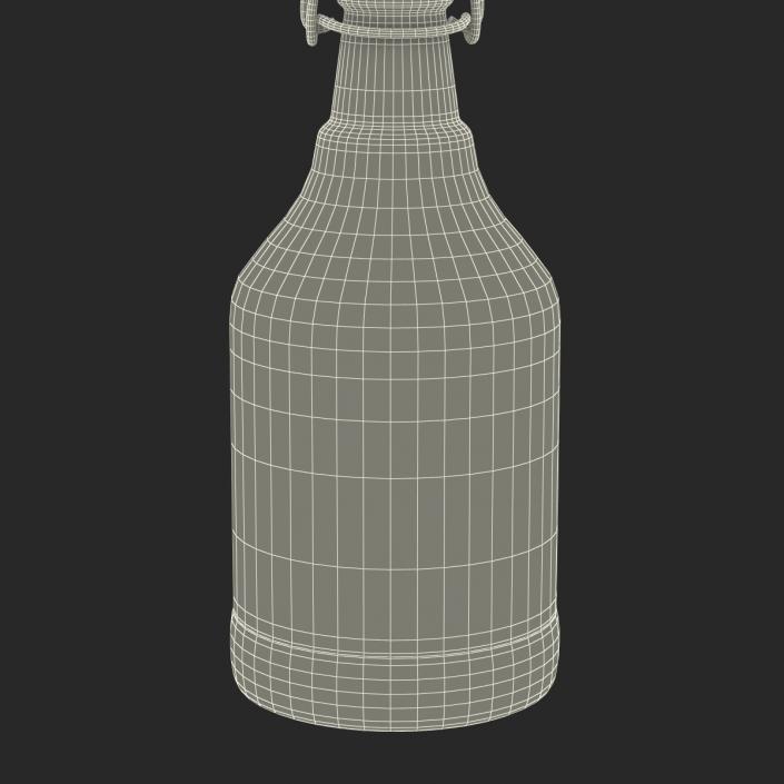 3D Cold Brew Bottle 2 model