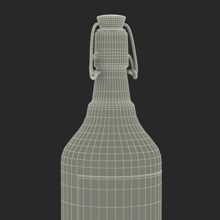 3D Cold Brew Bottle 2 model