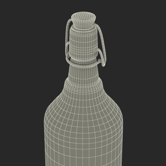 3D Cold Brew Bottle 2 model