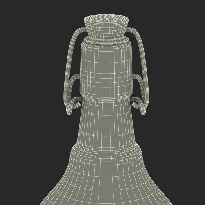 3D Cold Brew Bottle 2 model