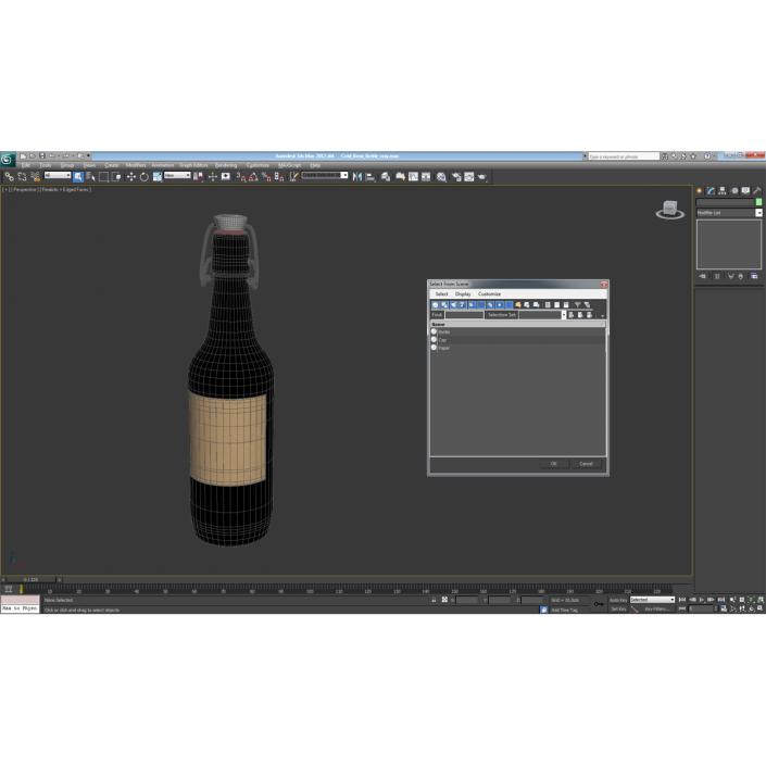 3D Cold Brew Bottle