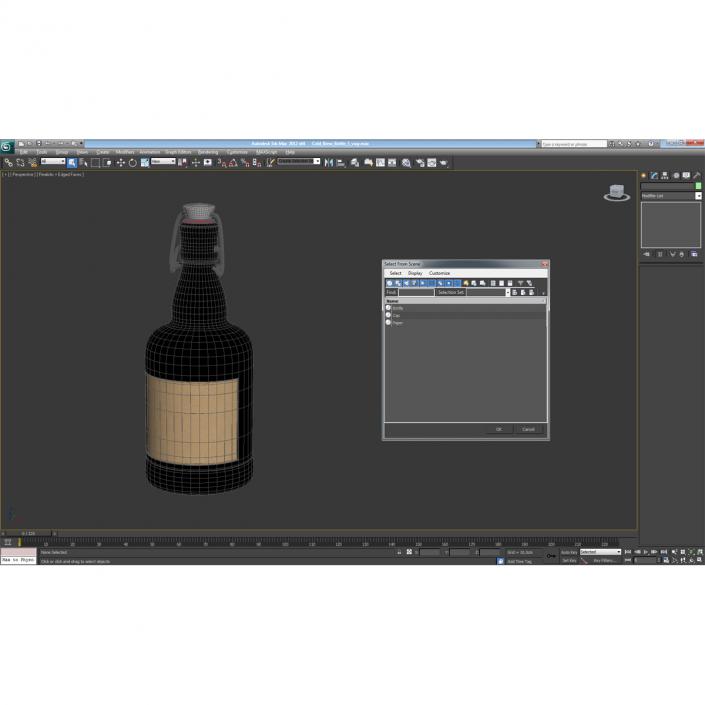 3D Cold Brew Bottle 3 model