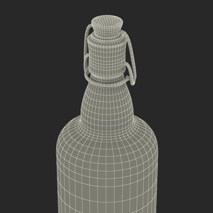 3D Cold Brew Bottle 3 model