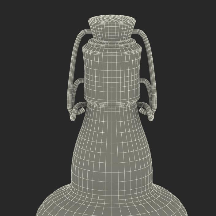 3D Cold Brew Bottle 3 model