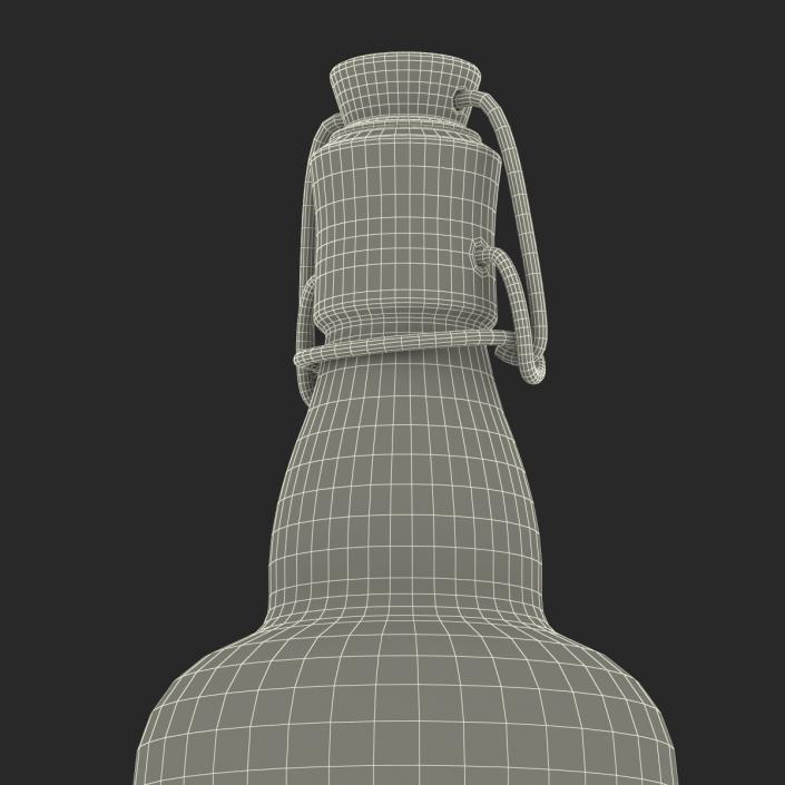 3D Cold Brew Bottle 3 model