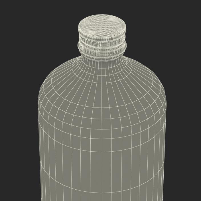 3D Cold Brew Bottle 4 model