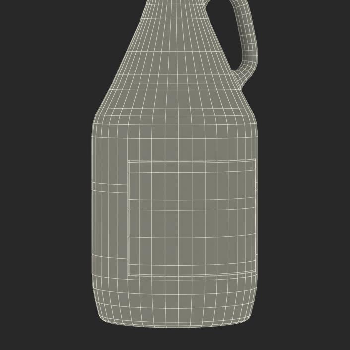 3D Cold Brew Bottle 5 model