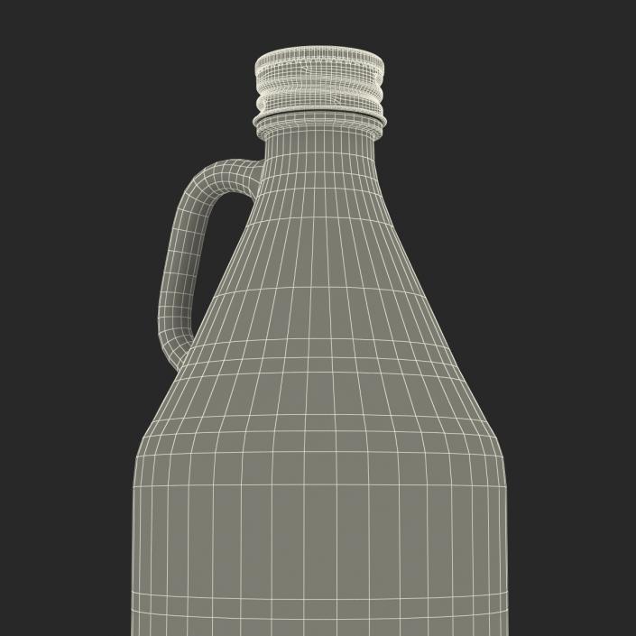 3D Cold Brew Bottle 5 model