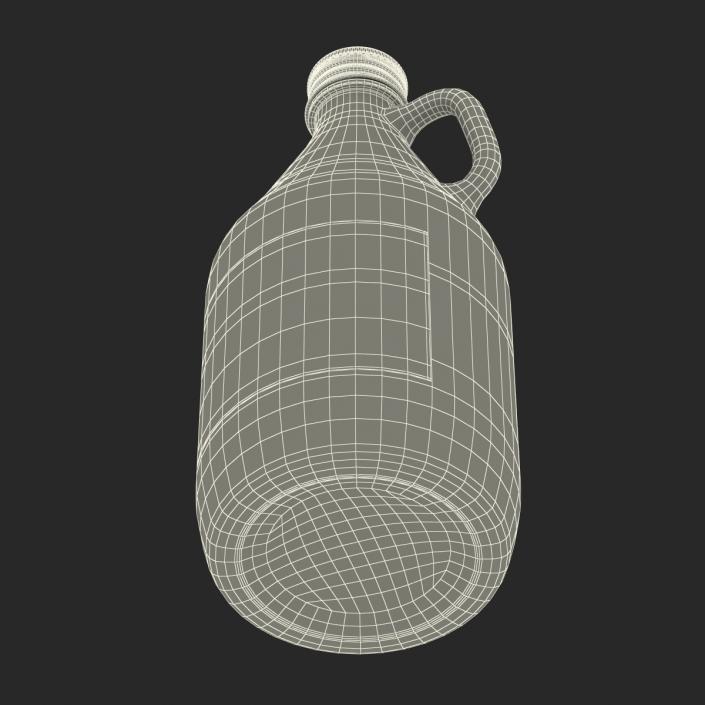 3D Cold Brew Bottle 5 model