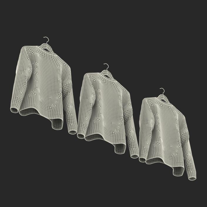 Sweaters on Hanger Collection 3D model