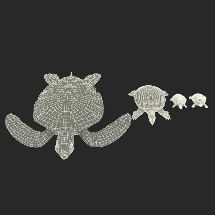 3D model Turtles 3D Models Collection 2