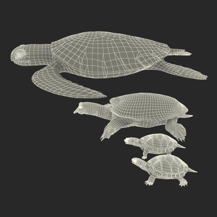 3D model Turtles 3D Models Collection 2