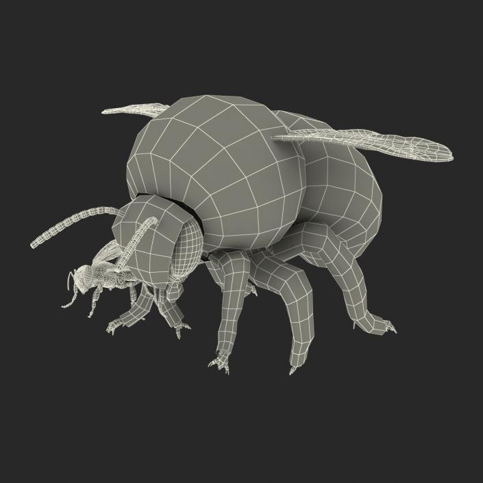 3D Bee and Bumblebee Collection model