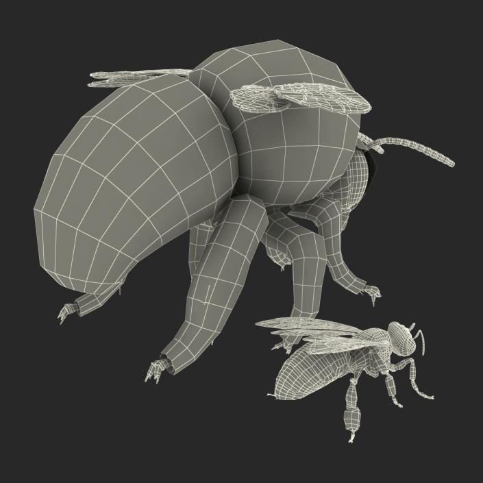 3D Bee and Bumblebee Collection model