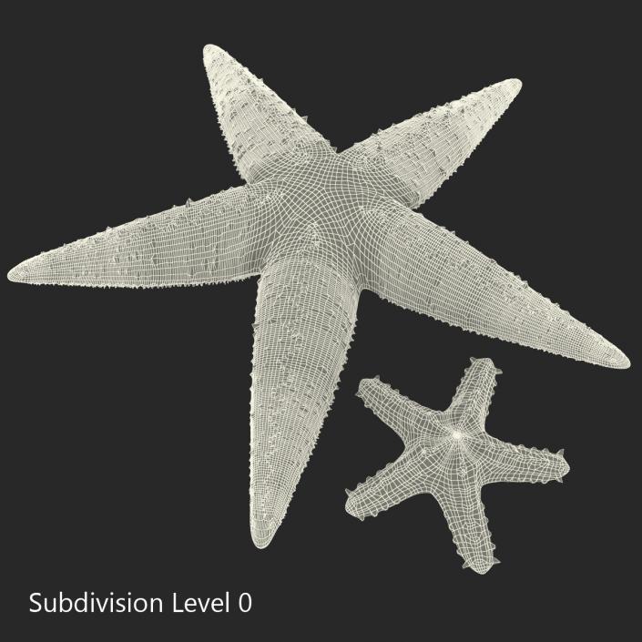 3D Starfishes Collection