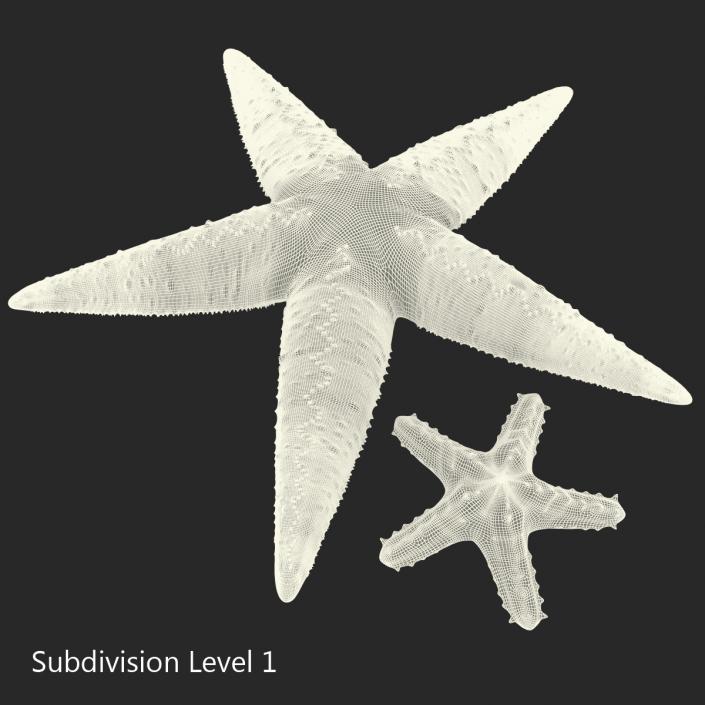 3D Starfishes Collection