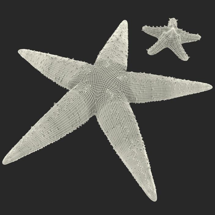 3D Starfishes Collection