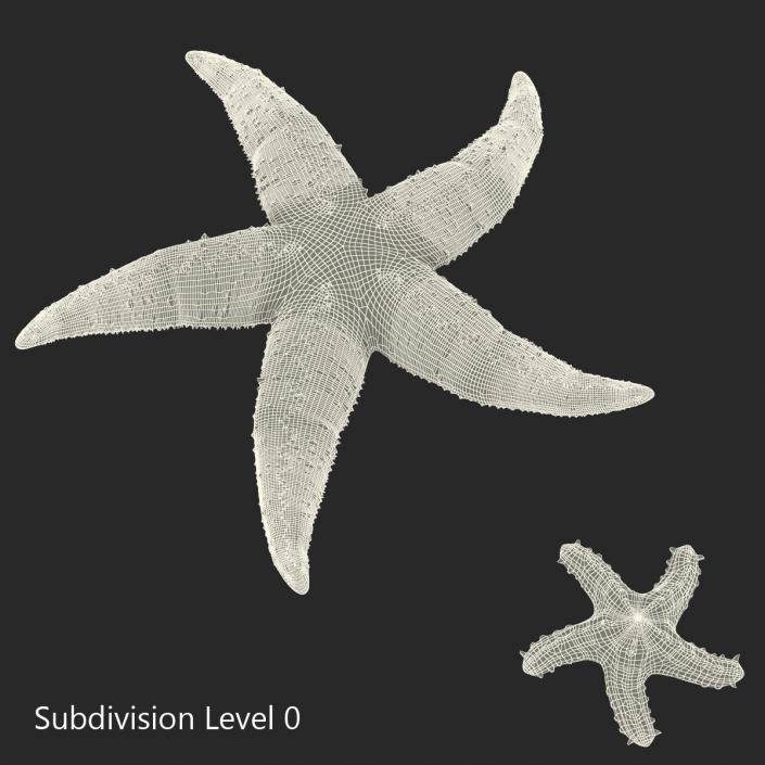 3D Rigged Starfishes Collection model