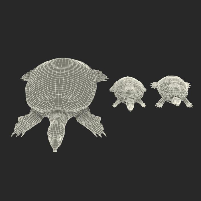 3D model Turtles 3D Models Collection 3